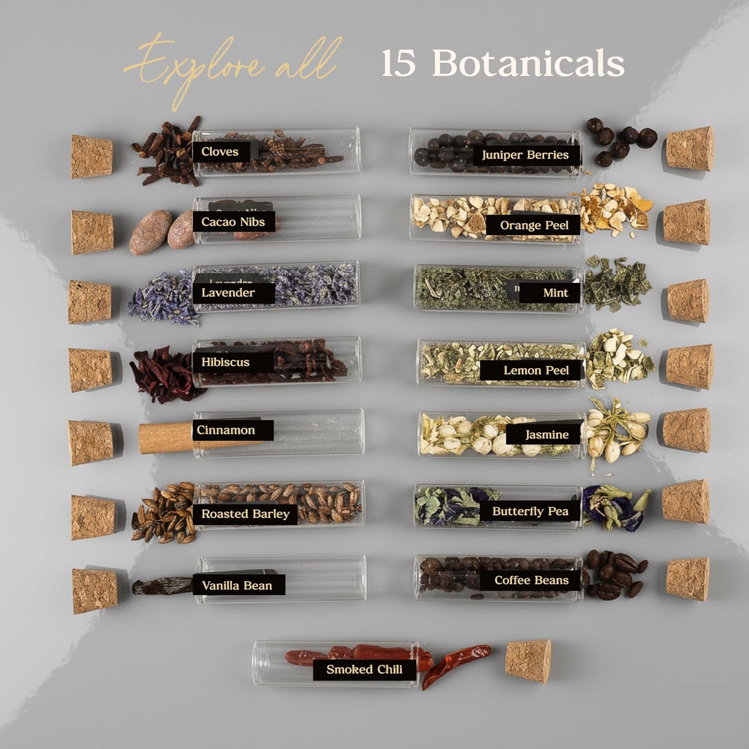 Cocktail Infusion Kit