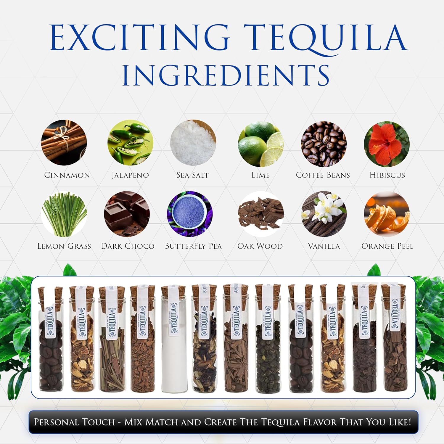 Cocktail Infusion Kit